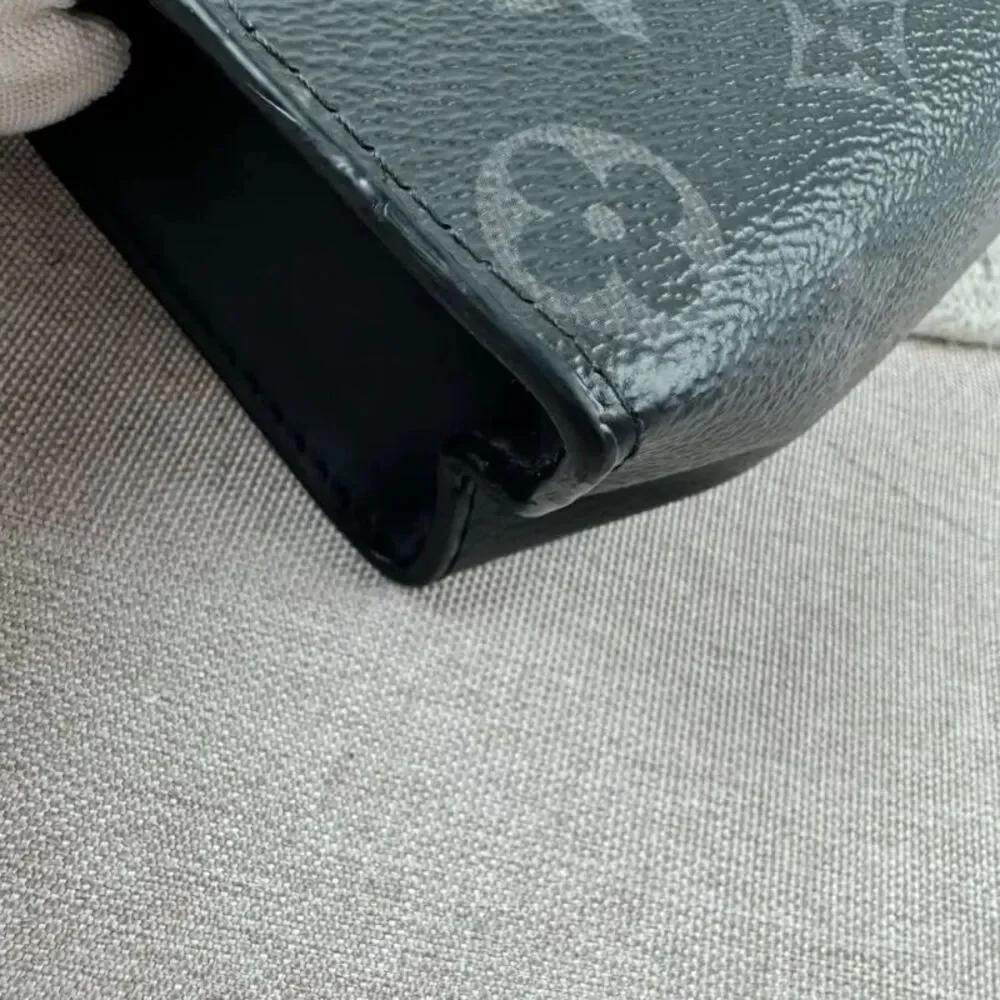 Louis Vuitton brand louis